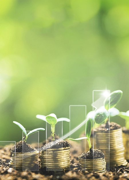 Sustainability, ESG, and Crisis Management