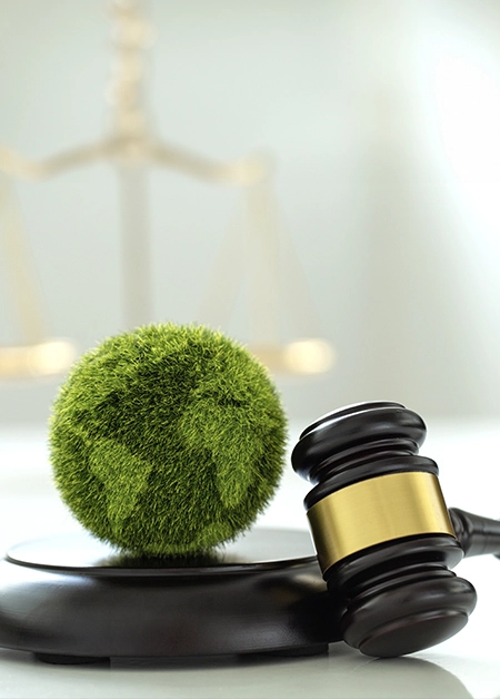 ESG - Globe and gavel