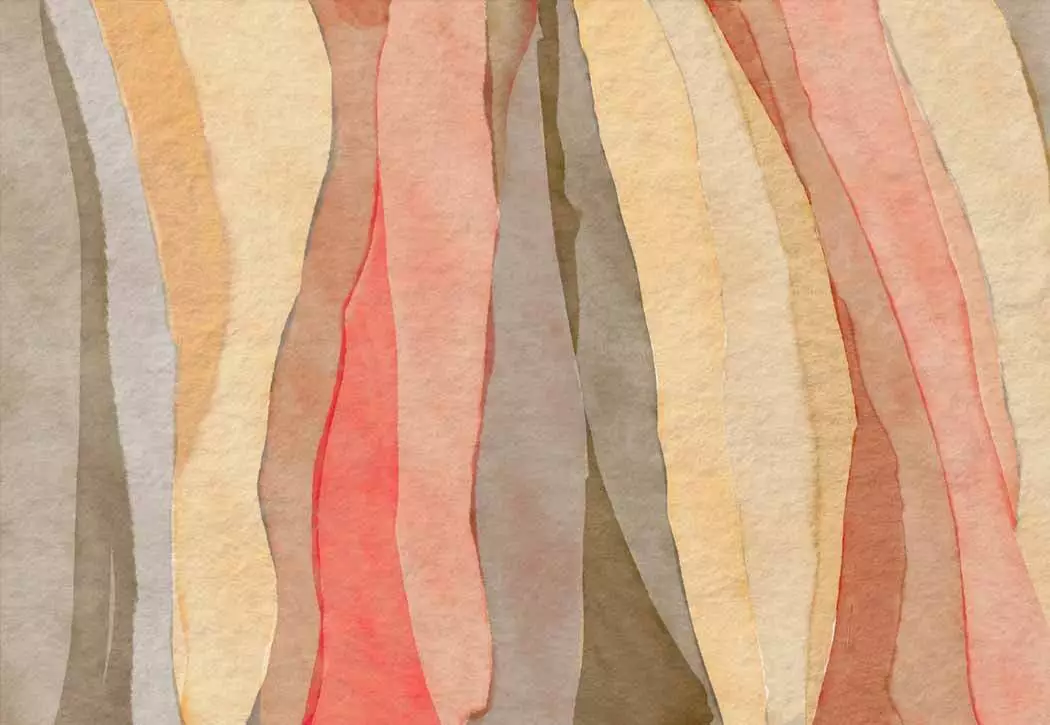 Competitive Tenders for IPPs in Africa