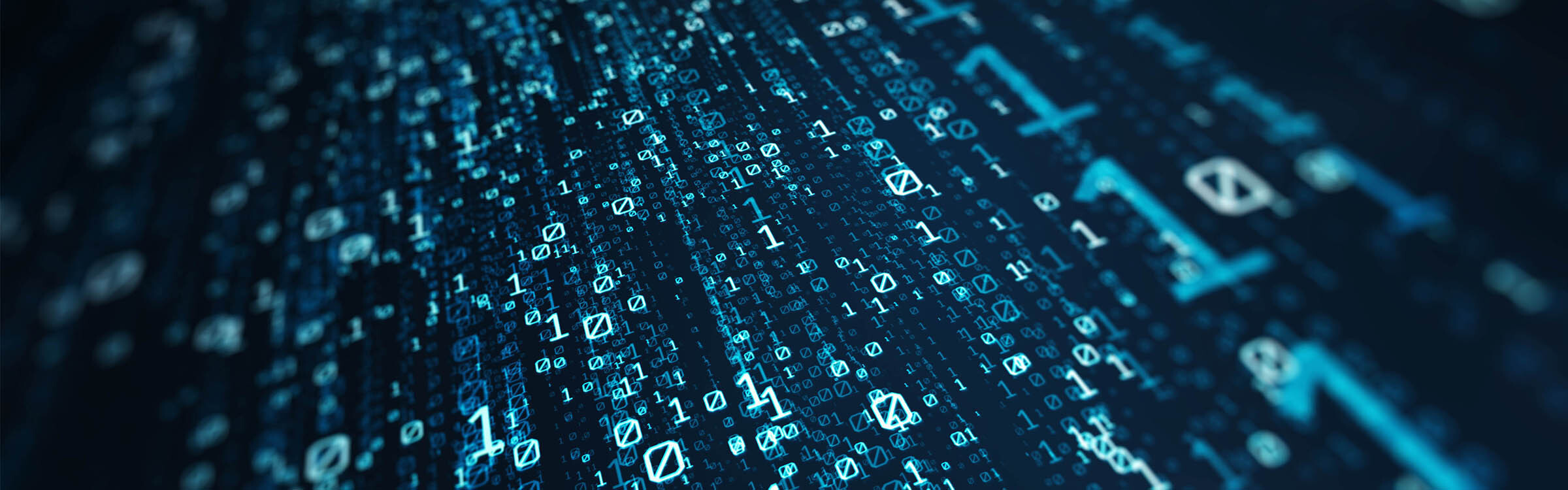 Software Audits