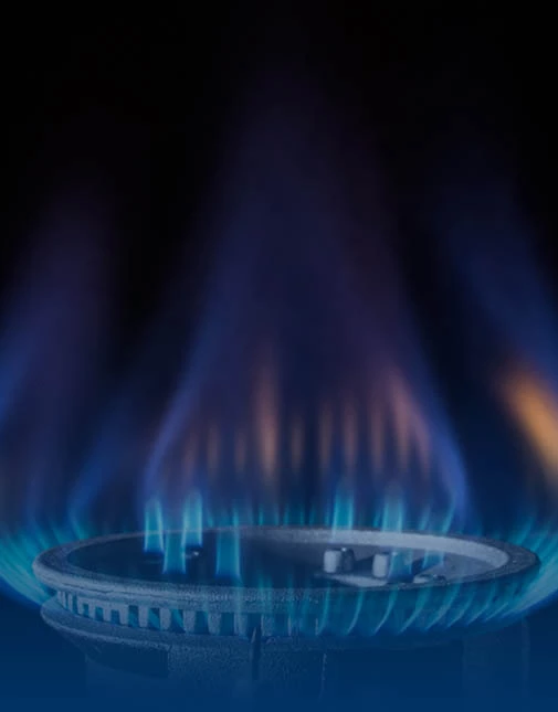 Natural Gas