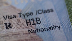 Domestic Visa Processing - Now With Details