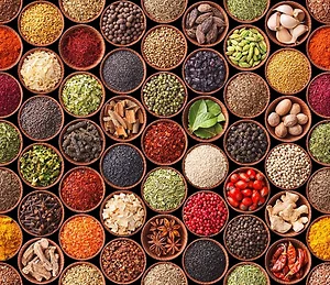 October 2025 Visa Bulletin – Now We’re Cooking!