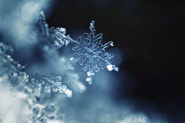 February 2026 Visa Bulletin – Deep Freeze for All Categories But One