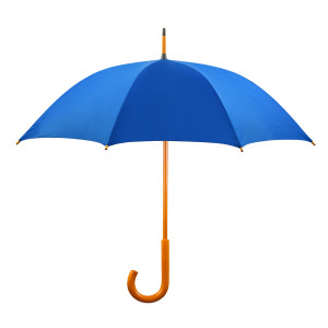 Insurance_Opened umbrella isolated