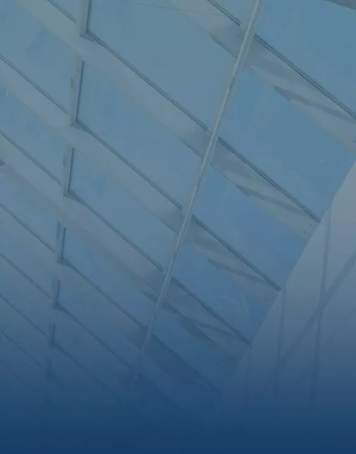 Commercial Litigation