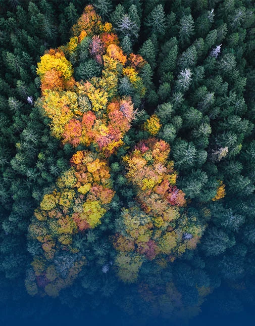 Natural Resources