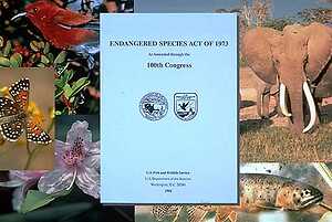 FWS and NMFS Complete Long-Awaited, Comprehensive Revision of ESA Regulations