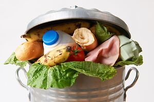 Momentum Gaining in Federal Efforts to Address Food Waste?