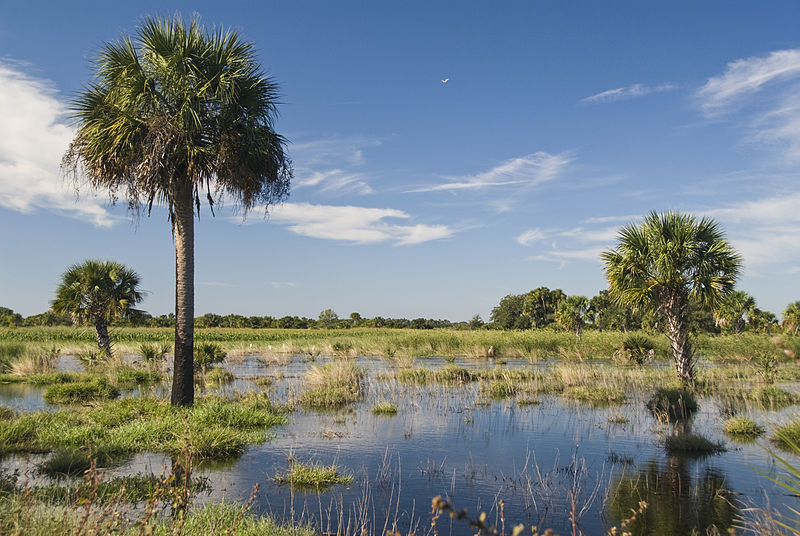 Florida Receives EPA Approval to Assume Clean Water Act Section 404 Program