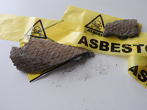 Advocacy Groups and Plaintiffs’ Experts Launch Two Challenges to EPA’s Asbestos Risk Evaluation – Are EPA Settlements Possible?