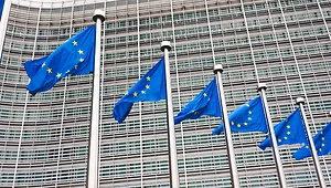 Emerging EU ESG Requirements: Transatlantic Implications for Multinational Companies