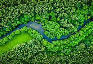 Key Takeaways from COP30