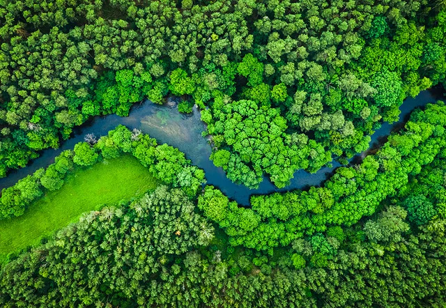 Key Takeaways from COP30