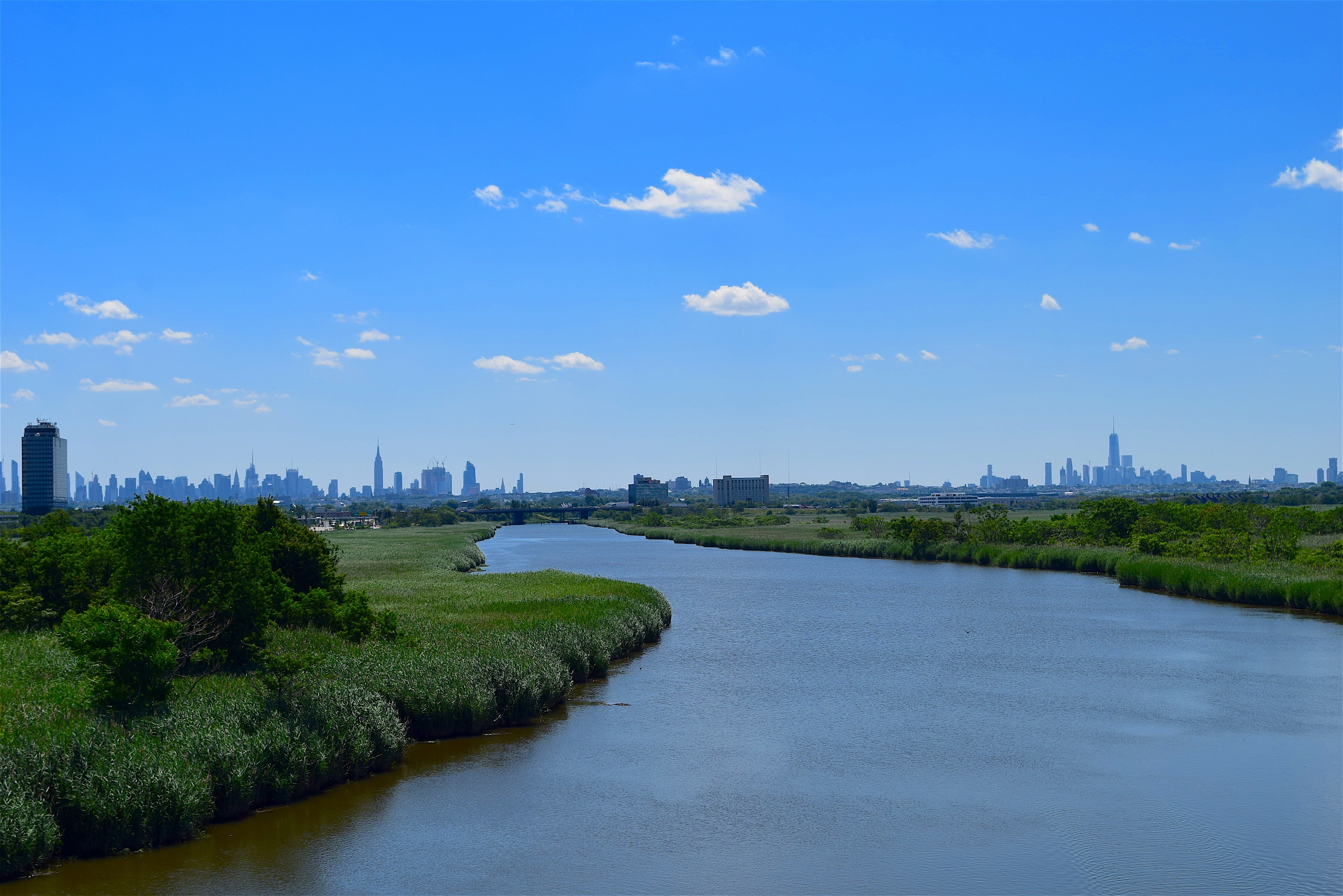 Forthcoming Decision Could Impact Preliminary Injunctions In Environmental Cases