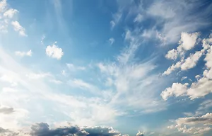 Streamlining NEPA and ESA Reviews: Importance of the Scope of Analysis