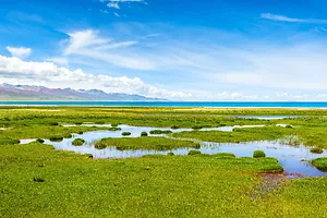 Agencies Issue a Proposal to Update the Definition of WOTUS